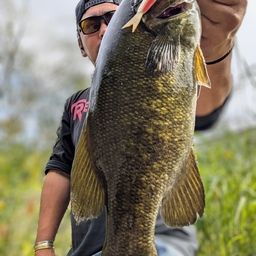 スモールマウスバス