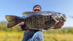スモールマウスバスの釣果