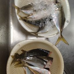 アジ