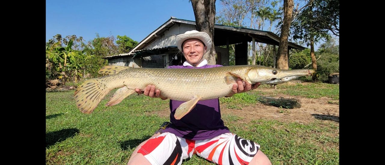 アリゲーターガー