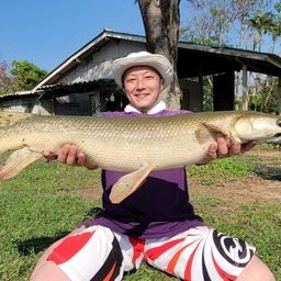 アリゲーターガー