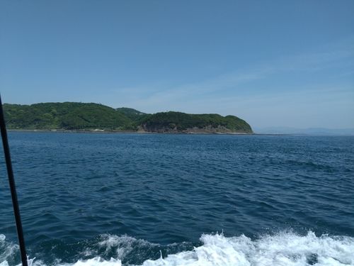 カワハギの釣果