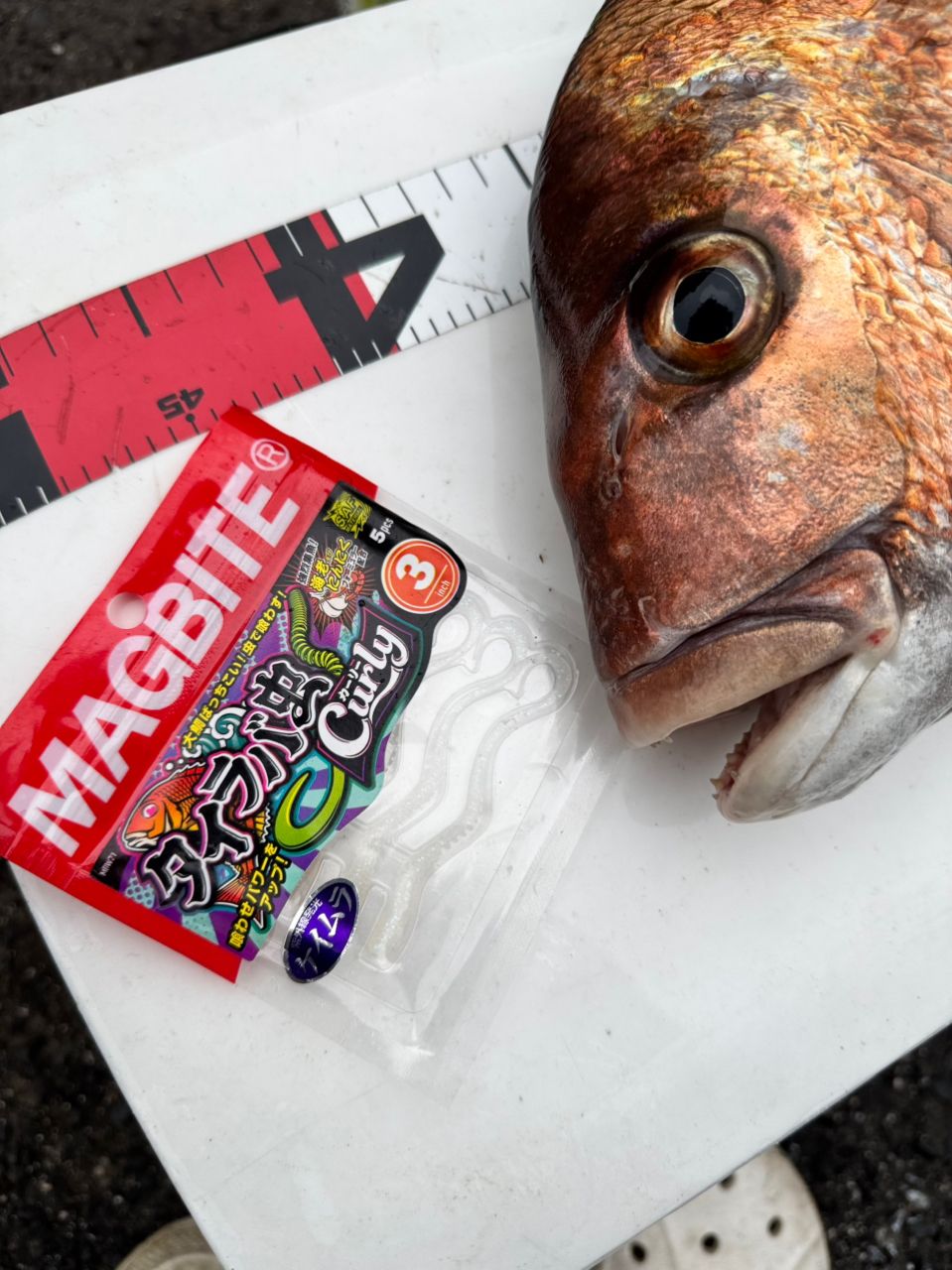 DAIWA - ちゅら【週末限定値下げ】Daiwa Catalina BJ 100SH-L DAIWA(ダイワ) 15キャタリナ BJ100SHL DAIWA(ダイワ) キャタリナ