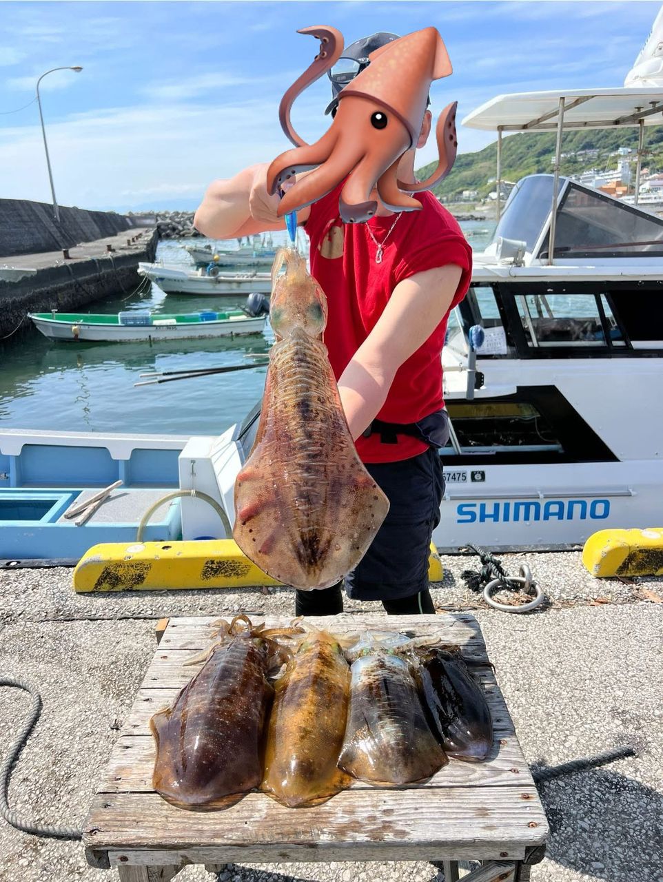 煽烏賊と釣旅さんの釣果 1枚目の画像