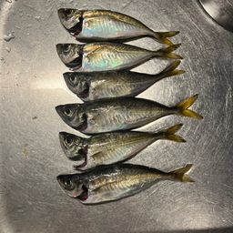 アジ