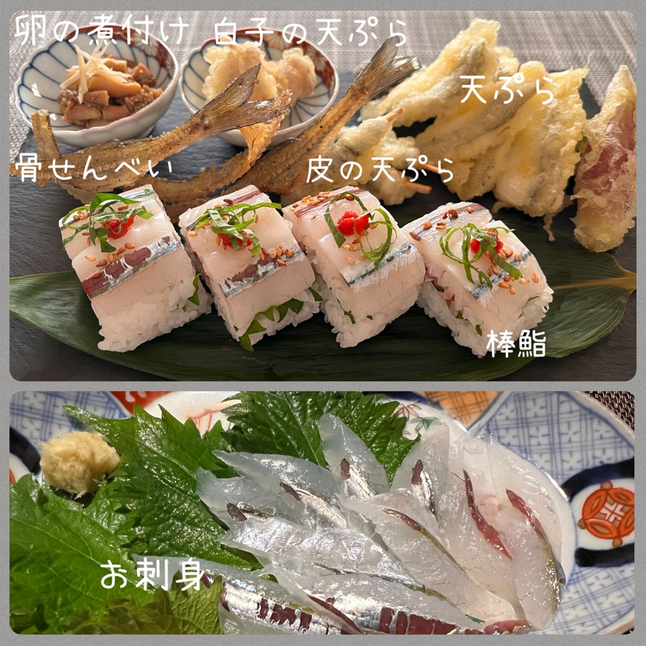 サヨリ