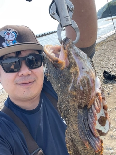 ギスカジカの釣果