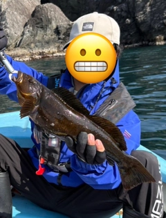 アイナメの釣果