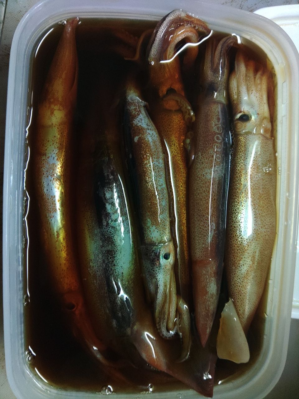 メタラーさんの釣果 2枚目の画像