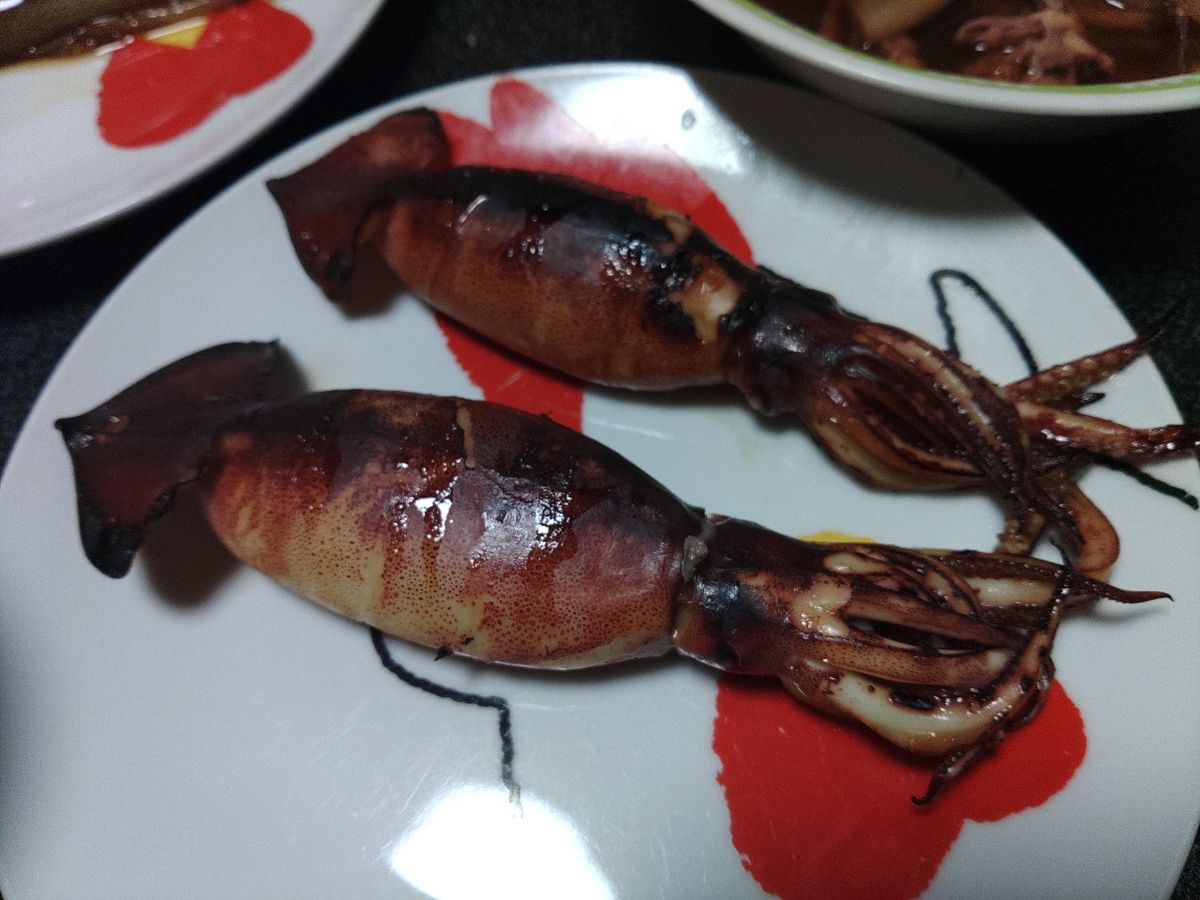 メタラーさんの釣果 3枚目の画像