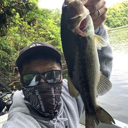 ブラックバス
