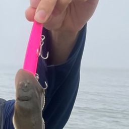 シタビラメ
