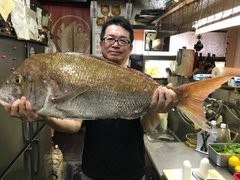 マダイの釣果