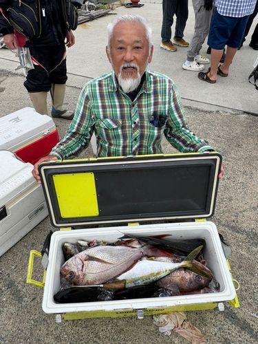 タイの釣果
