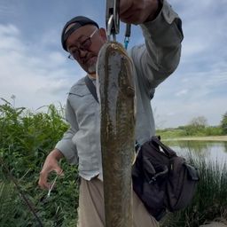 スモールマウスバス