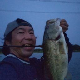 ラージマウスバス