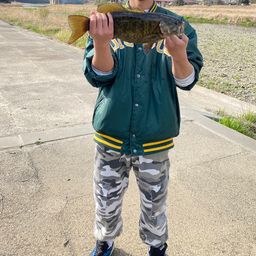 スモールマウスバス