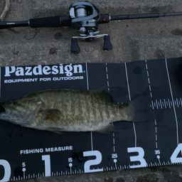 スモールマウスバス