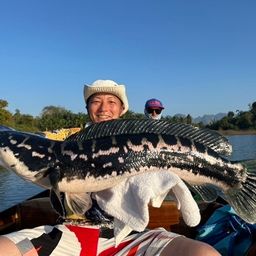 ジャイアントスネークヘッド