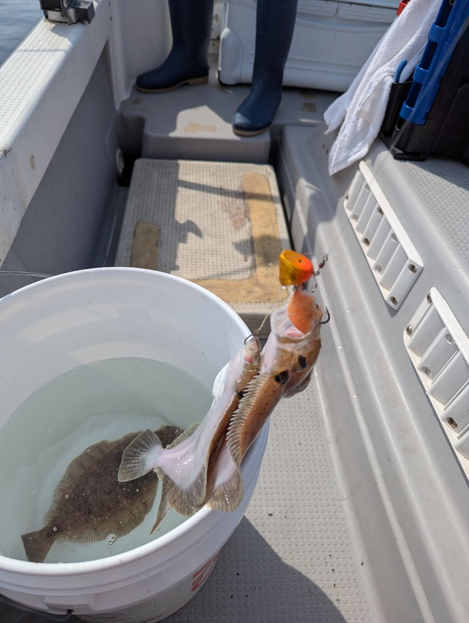 真鯛ハンタ～山ちゃんさんの釣果 3枚目の画像