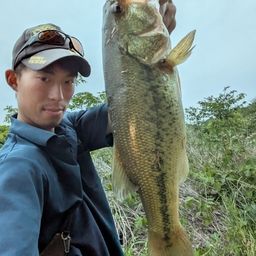 ブラックバス
