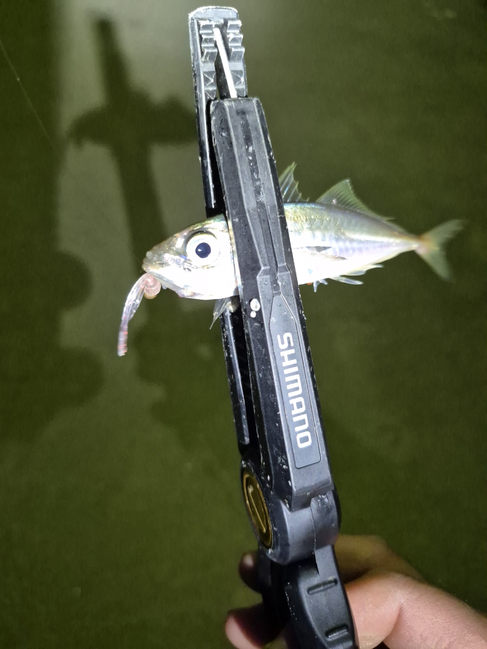 楽天市場】シマノ 23ヴァンキッシュ 1000SSSPG /スピニング