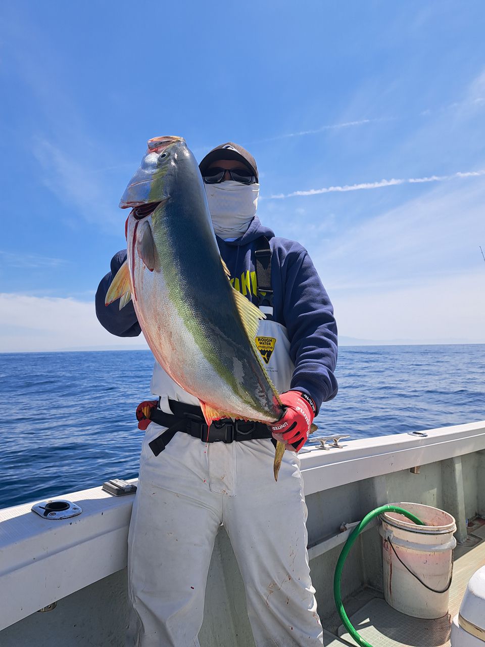 ゴムせんちょさんの釣果 2枚目の画像