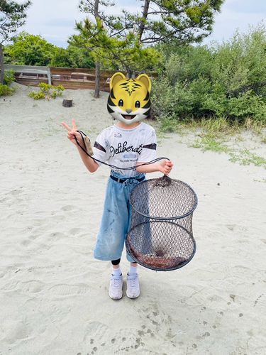 タイの釣果