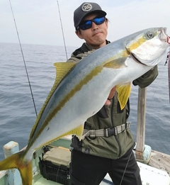 ヒラマサの釣果