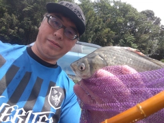 ヘラブナの釣果
