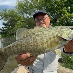 スモールマウスバス