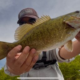 スモールマウスバス