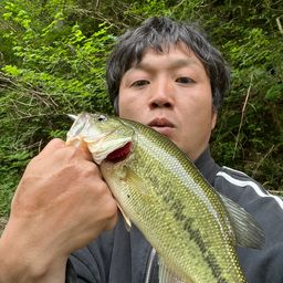 ブラックバス