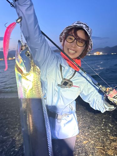 タチウオの釣果