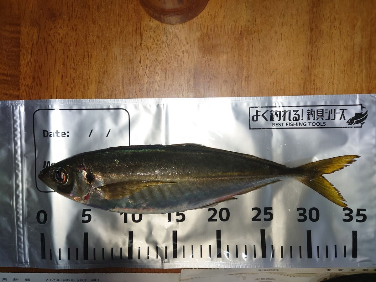 KODAMA-Gさんの釣果 2枚目の画像