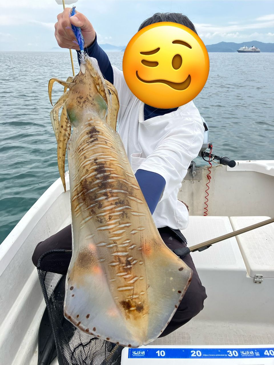 みつ豆さんの釣果 1枚目の画像