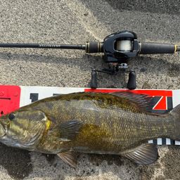 スモールマウスバス