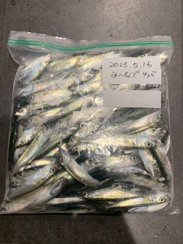 釣果
