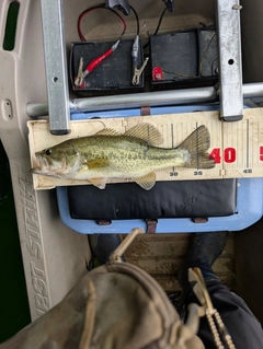 釣果