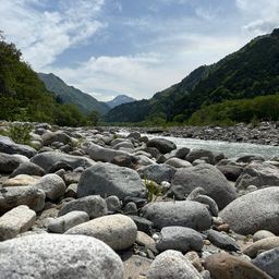 イワナ