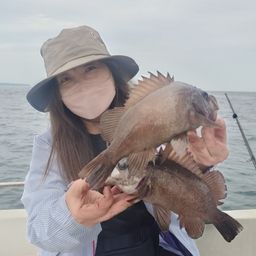 メバル