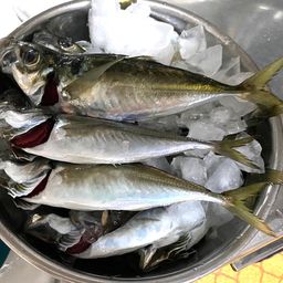 アジ