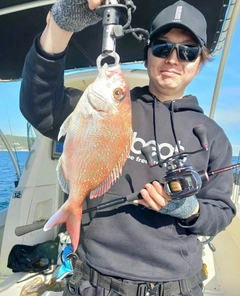 タイの釣果