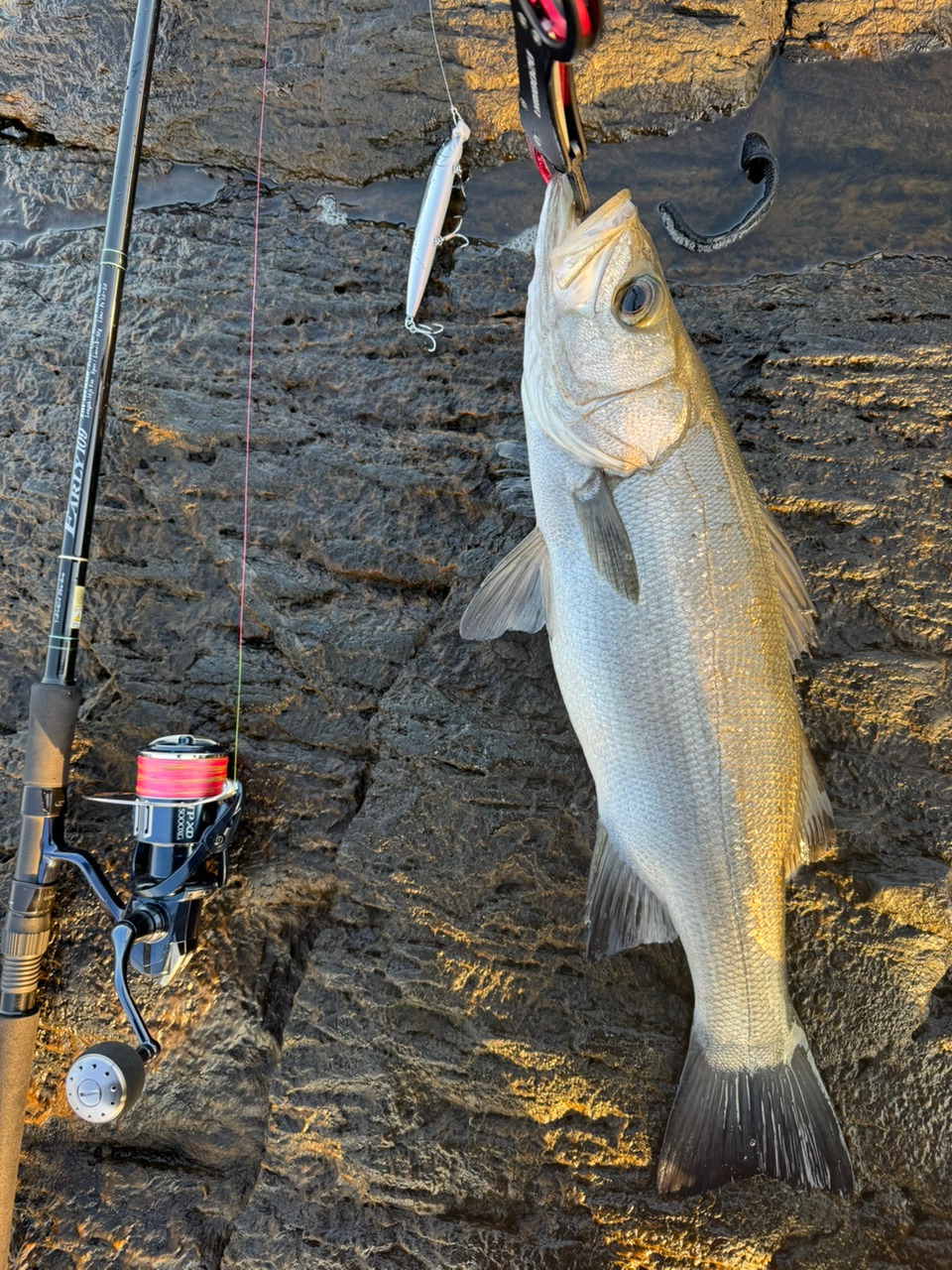 EARLY 109MMH for Surf | YAMAGA Blanks