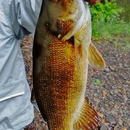 スモールマウスバス