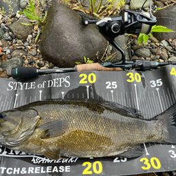 スモールマウスバス