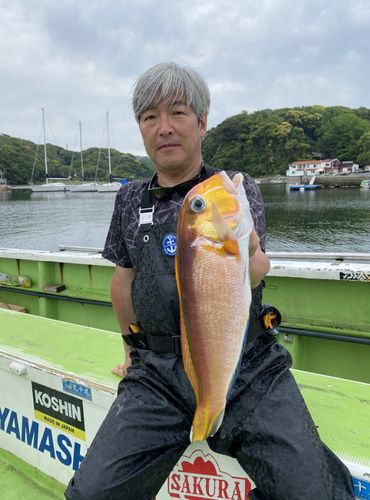 キアマダイの釣果