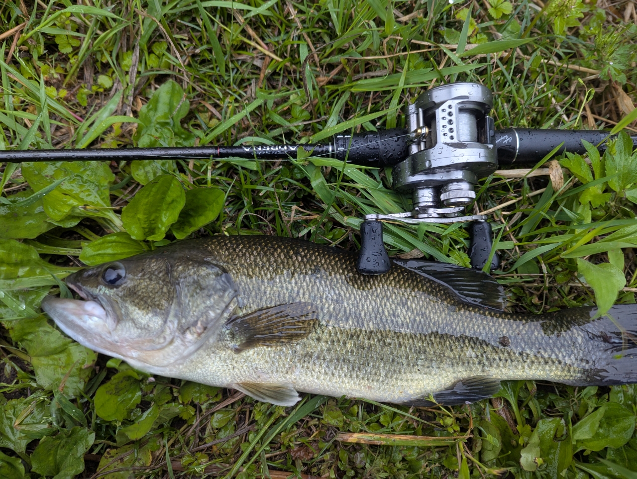 SHIMANO 18ポイズン アドレナ 167L-BFSの最安値・インプレ・釣果
