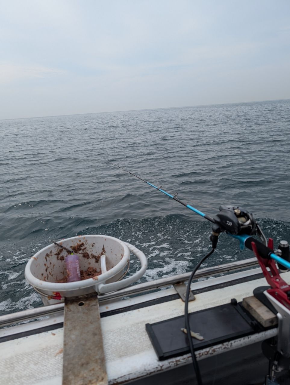 リリースサイズさんの釣果 1枚目の画像