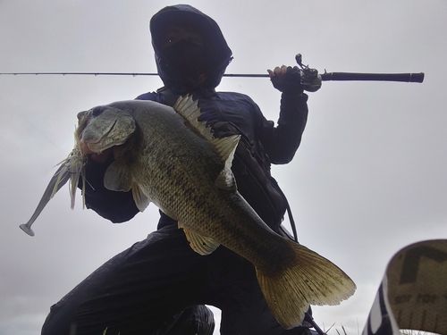 釣果